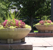 Landscape Architecture Design Denver, CO